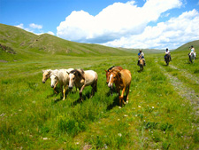 Mongolia-Khan Khentii-Mongol Horsetrails